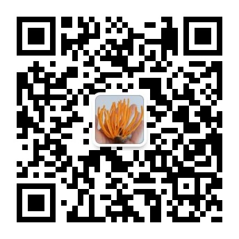 湖南金芙農(nóng)業(yè)科技有限公司,湖南蛹蟲(chóng)草,湖南羊肚菌,蛹蟲(chóng)草,羊肚菌,龍新,蟲(chóng)草酒哪里好,衡陽(yáng)食用菌,衡陽(yáng)羊肚菌,衡陽(yáng)蛹蟲(chóng)草