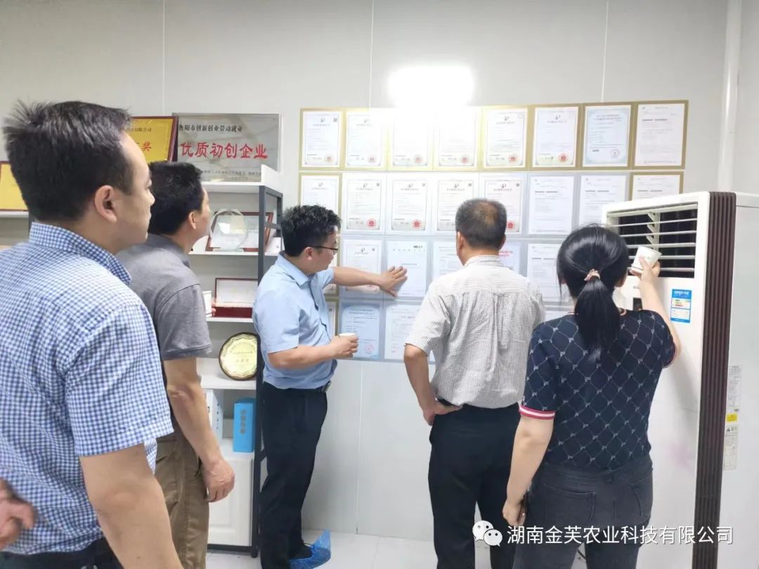 湖南金芙農(nóng)業(yè)科技有限公司,湖南蛹蟲(chóng)草,湖南羊肚菌,蛹蟲(chóng)草,羊肚菌,龍新,蟲(chóng)草酒哪里好,衡陽(yáng)食用菌,衡陽(yáng)羊肚菌,衡陽(yáng)蛹蟲(chóng)草