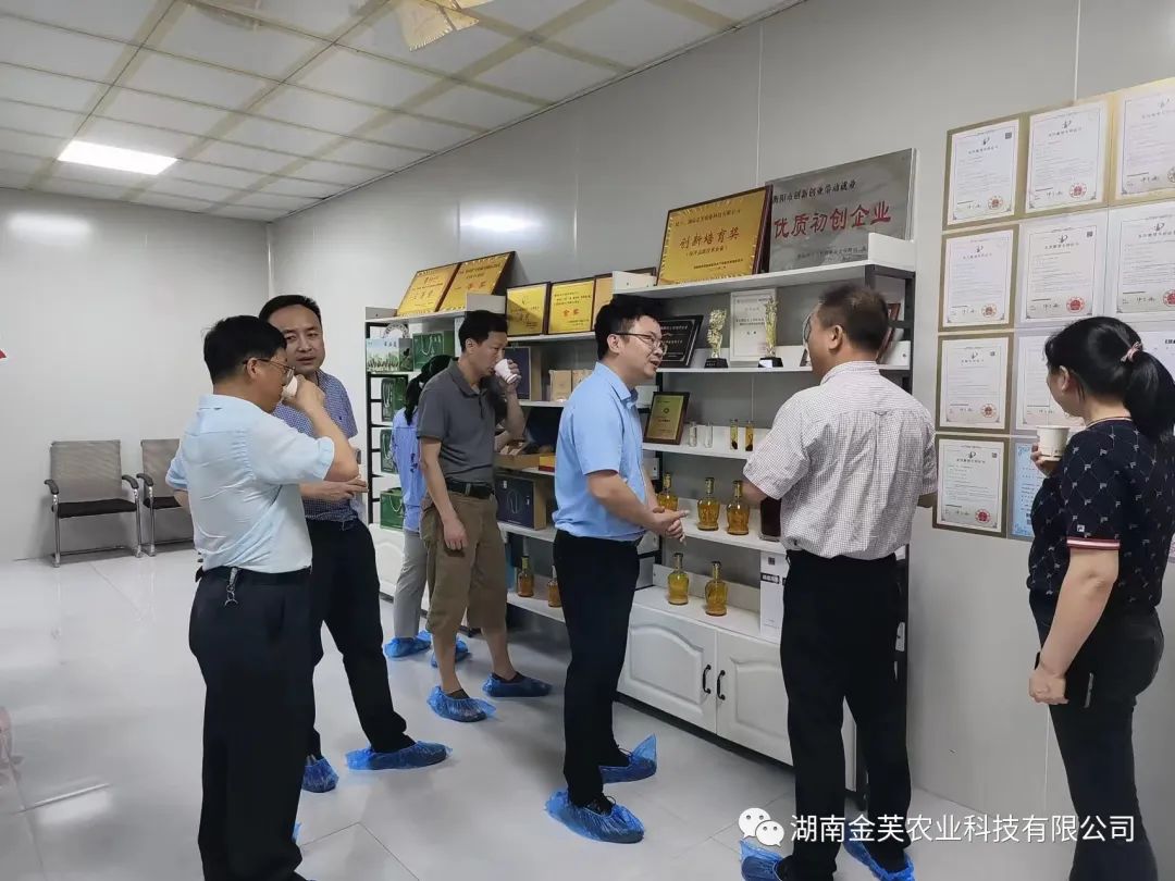 湖南金芙農(nóng)業(yè)科技有限公司,湖南蛹蟲(chóng)草,湖南羊肚菌,蛹蟲(chóng)草,羊肚菌,龍新,蟲(chóng)草酒哪里好,衡陽(yáng)食用菌,衡陽(yáng)羊肚菌,衡陽(yáng)蛹蟲(chóng)草