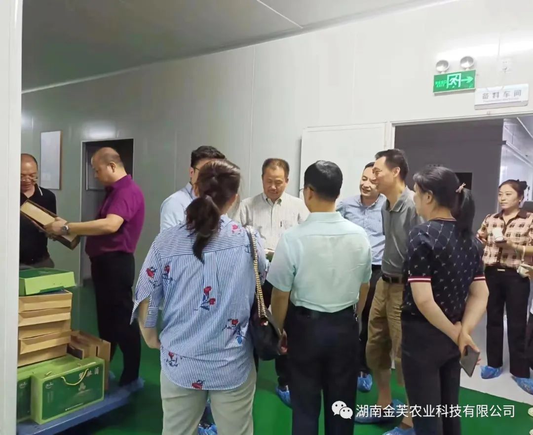 湖南金芙農(nóng)業(yè)科技有限公司,湖南蛹蟲(chóng)草,湖南羊肚菌,蛹蟲(chóng)草,羊肚菌,龍新,蟲(chóng)草酒哪里好,衡陽(yáng)食用菌,衡陽(yáng)羊肚菌,衡陽(yáng)蛹蟲(chóng)草