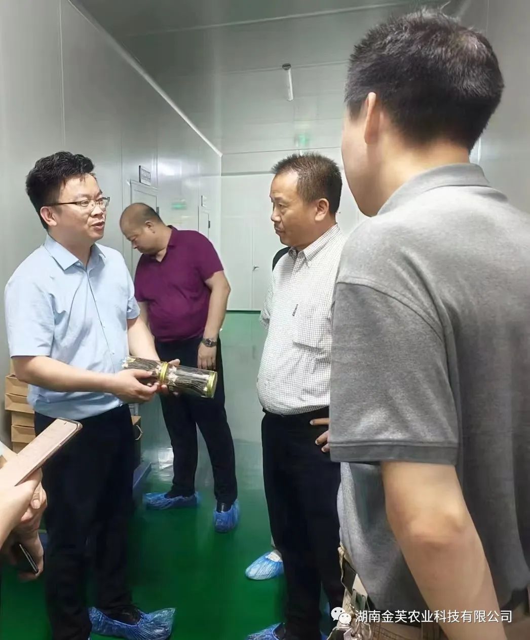 湖南金芙農(nóng)業(yè)科技有限公司,湖南蛹蟲(chóng)草,湖南羊肚菌,蛹蟲(chóng)草,羊肚菌,龍新,蟲(chóng)草酒哪里好,衡陽(yáng)食用菌,衡陽(yáng)羊肚菌,衡陽(yáng)蛹蟲(chóng)草